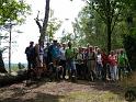 Kellerwald (36)
